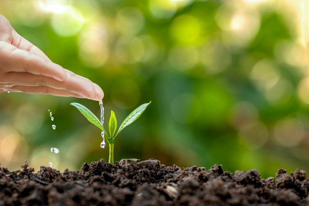 Dia_Mundial_da_Água