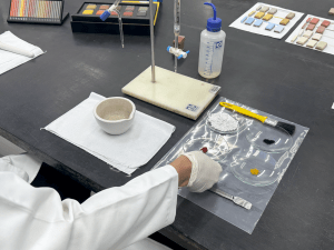 Pigmentos do laboratório aos cimentícios